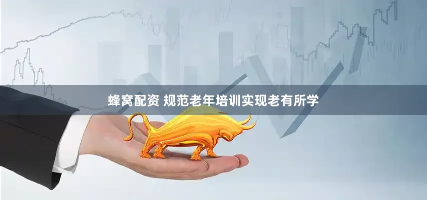 蜂窝配资 规范老年培训实现老有所学