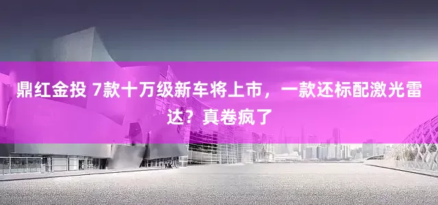 鼎红金投 7款十万级新车将上市，一款还标配激光雷达？真卷疯了